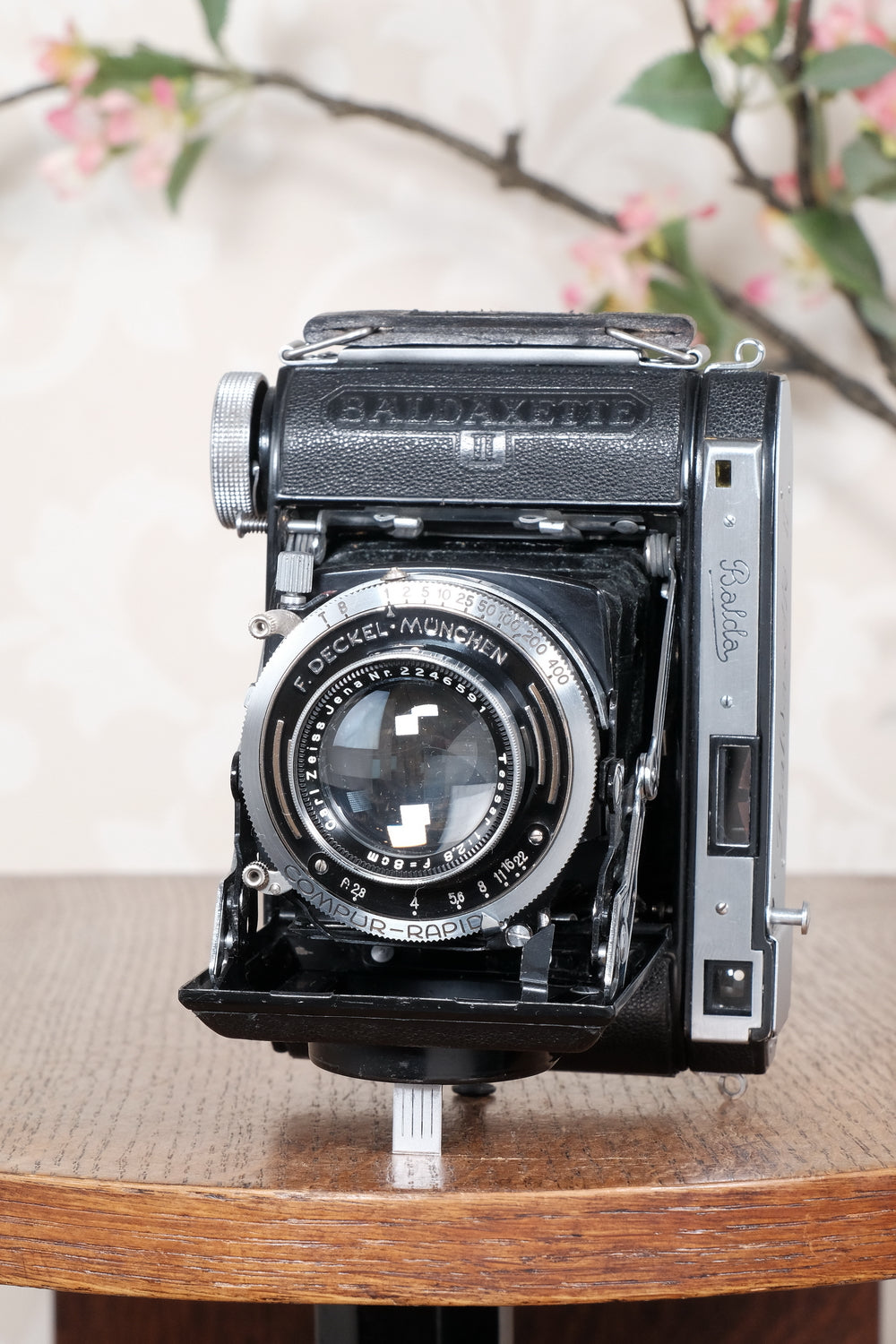 Rare! Near Mint 1938 Balda Baldaxette II, 6x6 Coupled Rangefinder camera, Tessar lens. Freshly Serviced!, CLA'd