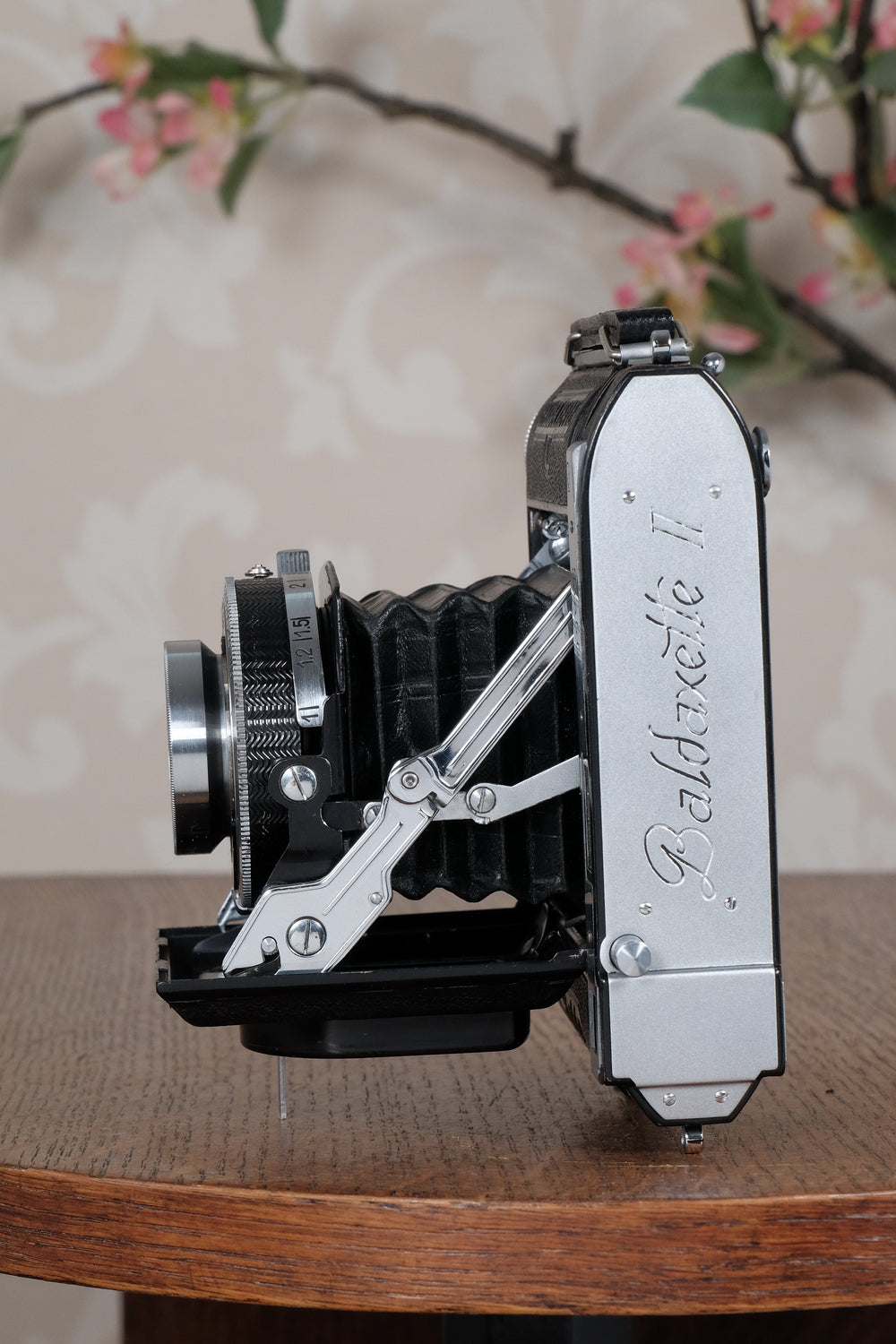 Rare! Near Mint 1938 Balda Baldaxette II, 6x6 Coupled Rangefinder camera, Tessar lens. Freshly Serviced!, CLA'd