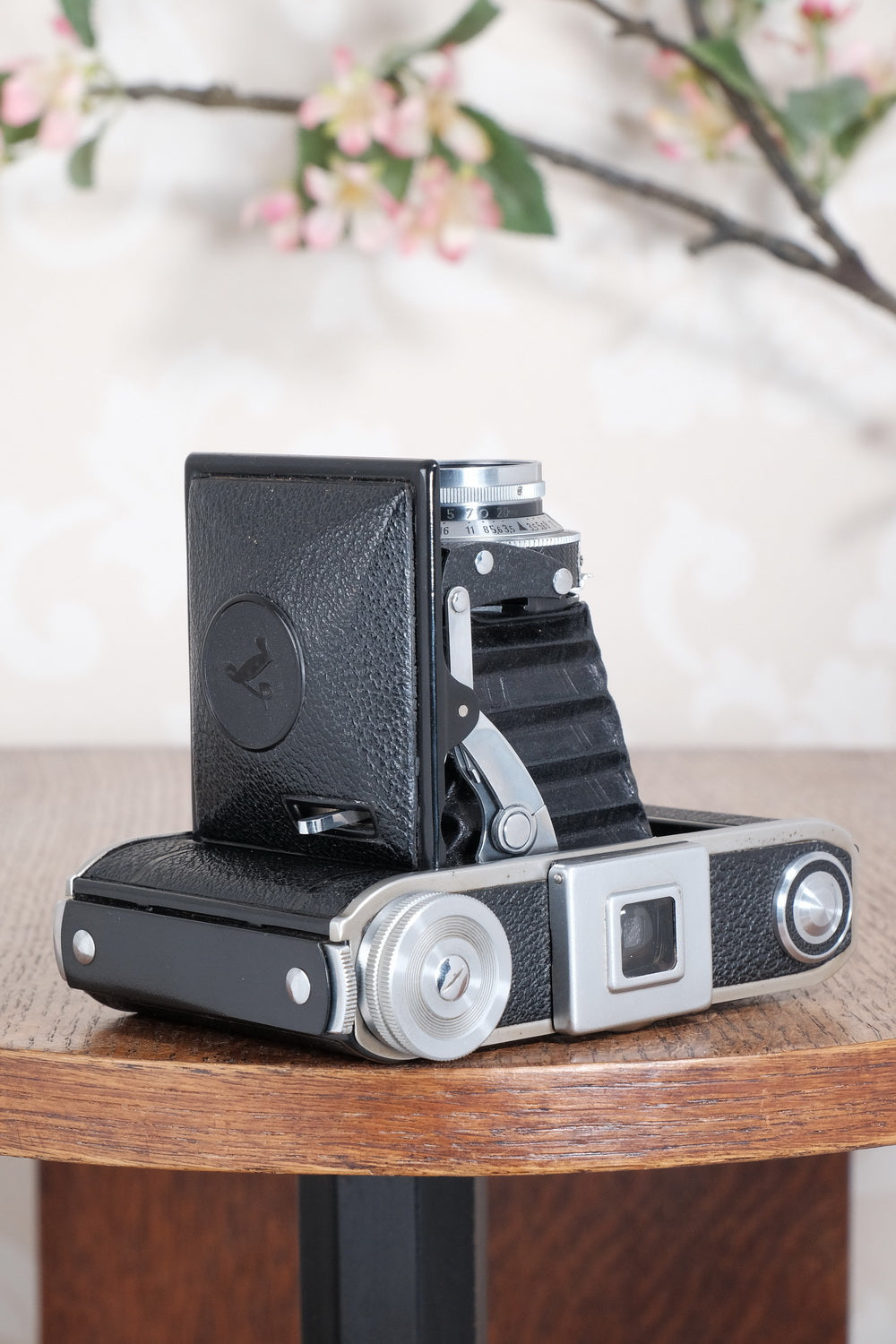 NEAR MINT! 1947 Voigtlander Bessa 66, Medium Format Folder with Color-Skopar lens. CLA'd, Freshly Serviced!