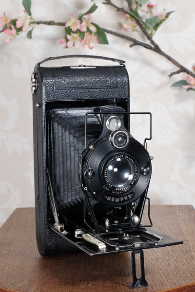 Giant! 1932 Voigtlander 8.5x14 Folding camera with 150mm Skopar lens. Freshly Serviced, CLA'd.
