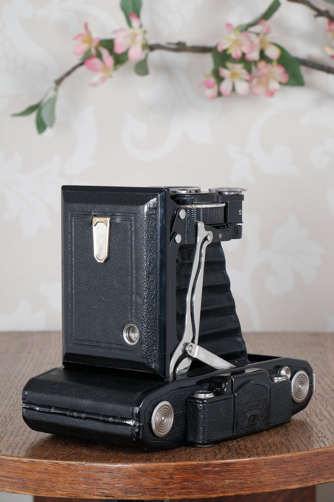 1933 Zeiss Ikon 6x9 Super Ikonta CLA’d, Freshly Serviced!