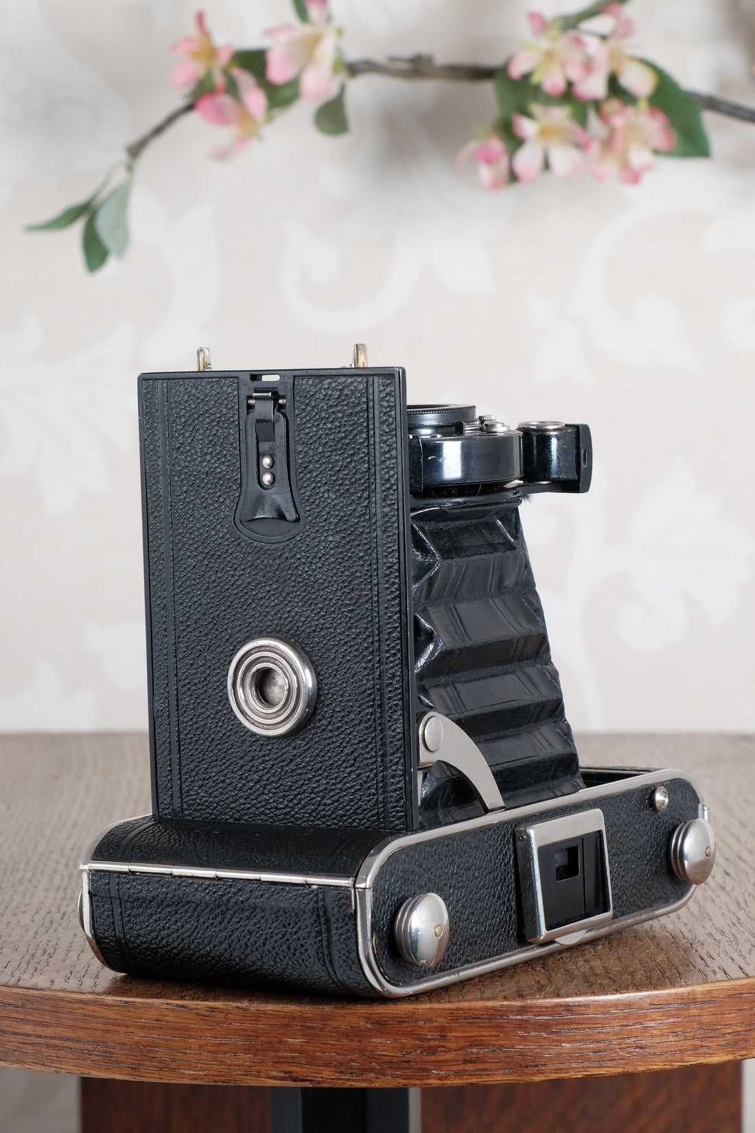 Near Mint! 1934 Voigtlander Inos 6x9 Folder, CLA’d, Freshly Serviced!