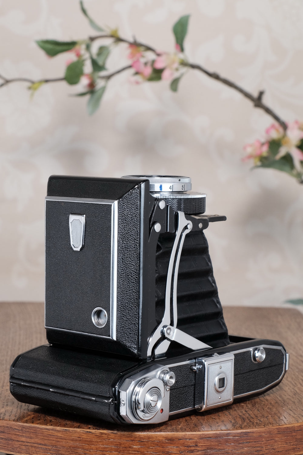 1938 6x9 Zeiss Ikon Ikonta, Freshly Serviced, CLA'd, Freshly Serviced!