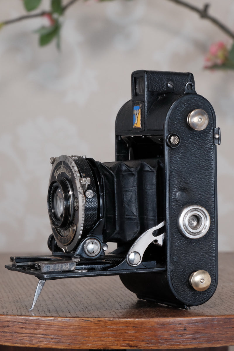 1935 Voigtlander Virtus 6x4.5 Folder, CLAd, Freshly Serviced!