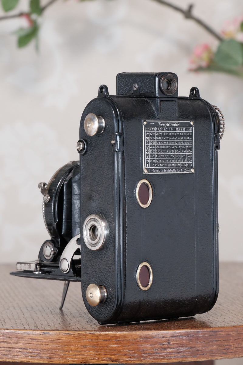 1935 Voigtlander Virtus 6x4.5 Folder, CLAd, Freshly Serviced!