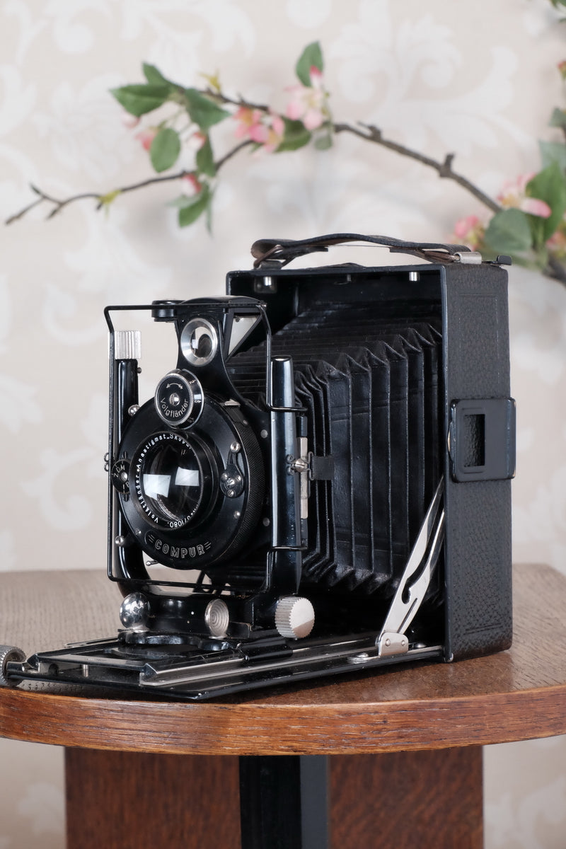 1931 Voigtlander 9x12 Camera with 6x9 120 roll film back. Freshly serviced, CLA'd!