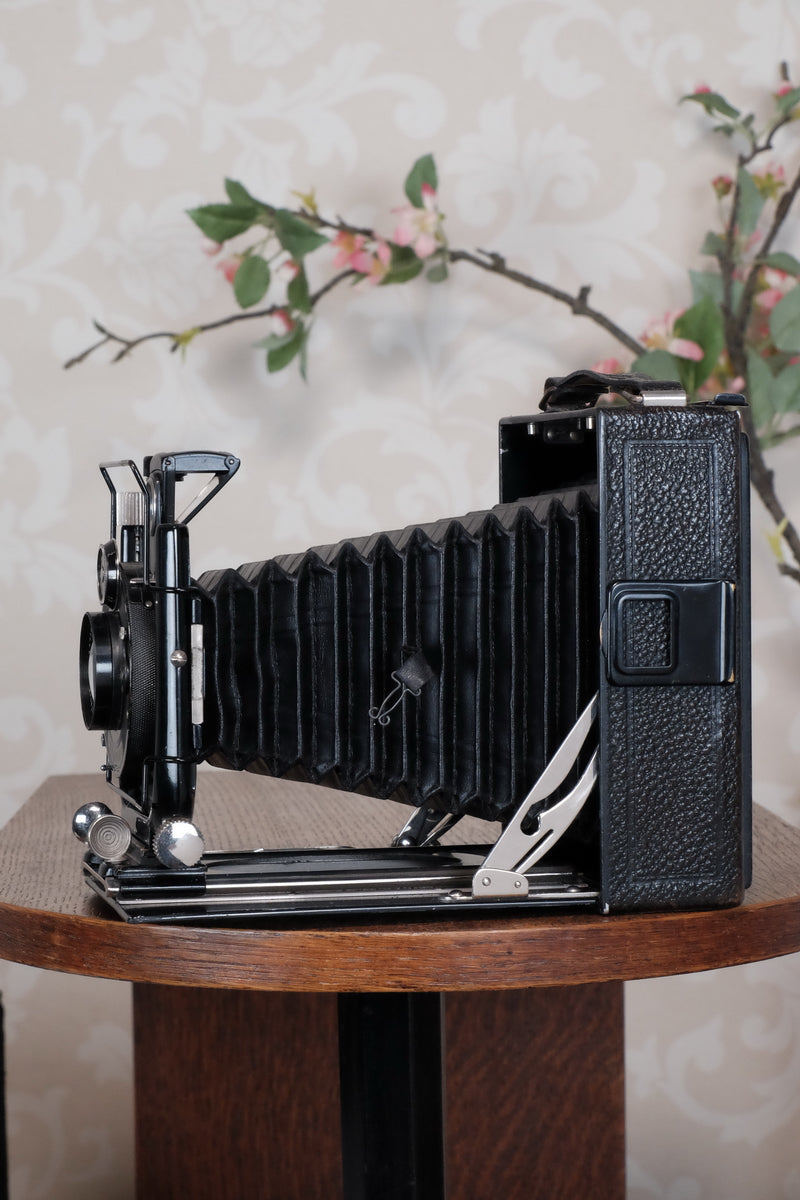 1931 Voigtlander 9x12 Camera with 6x9 120 roll film back. Freshly serviced, CLA'd!