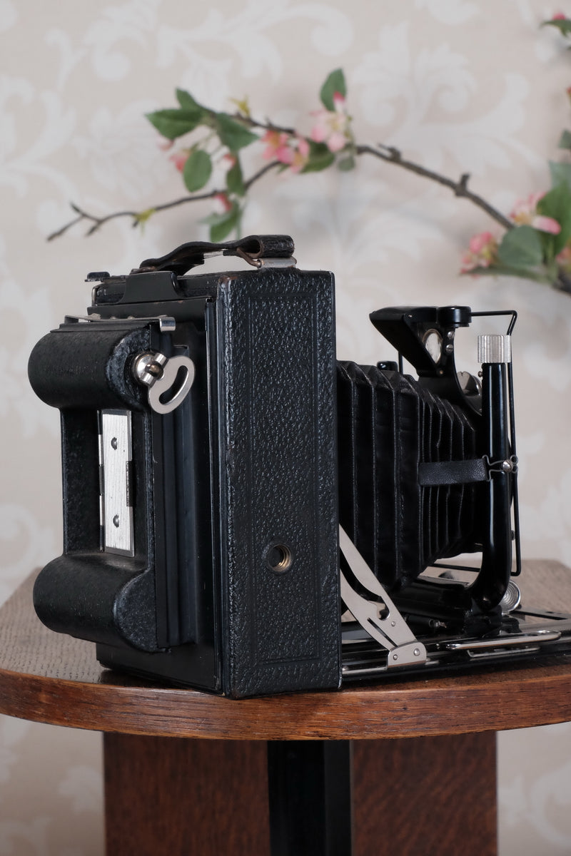 1931 Voigtlander 9x12 Camera with 6x9 120 roll film back. Freshly serviced, CLA'd!