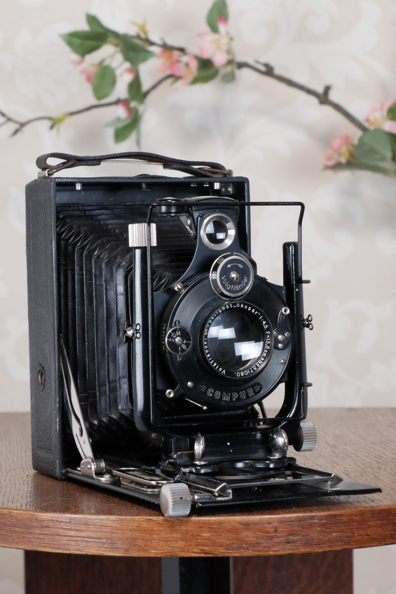 1931 Voigtlander 9x12 Camera with 6x9 120 roll film back. Freshly serviced, CLA'd!