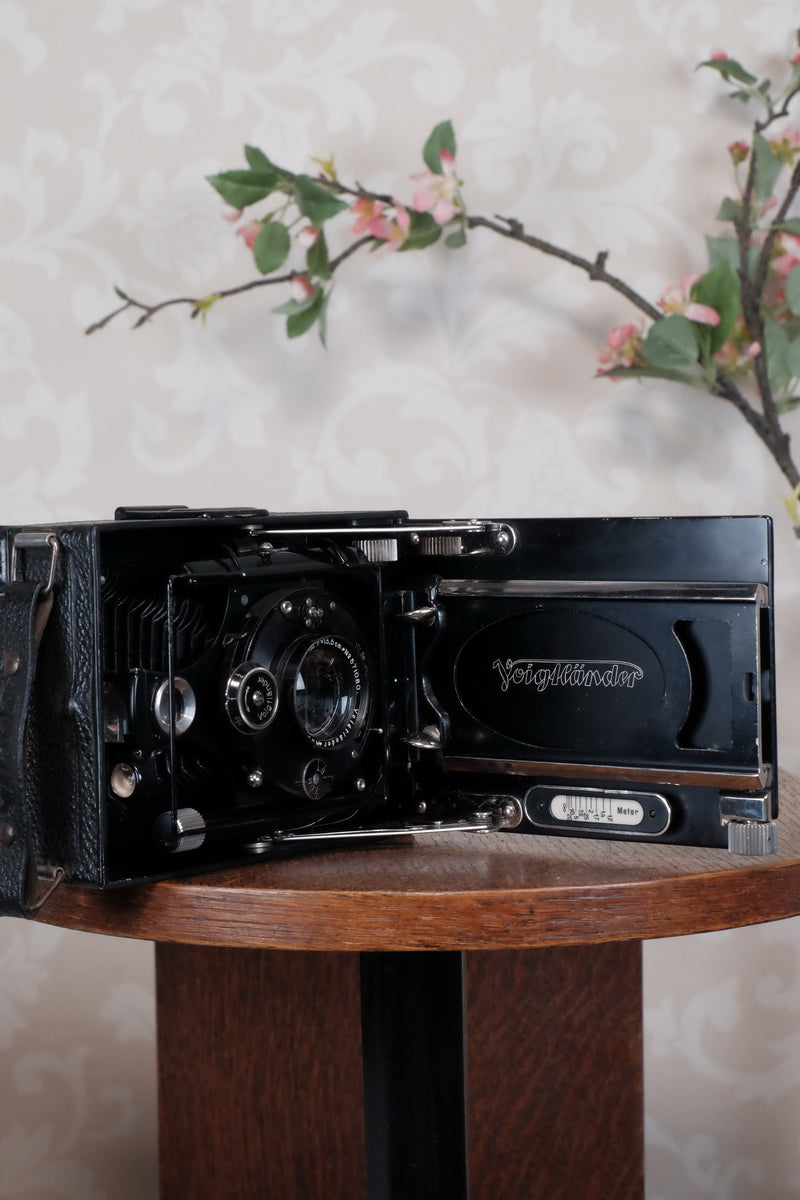 1931 Voigtlander 9x12 Camera with 6x9 120 roll film back. Freshly serviced, CLA'd!