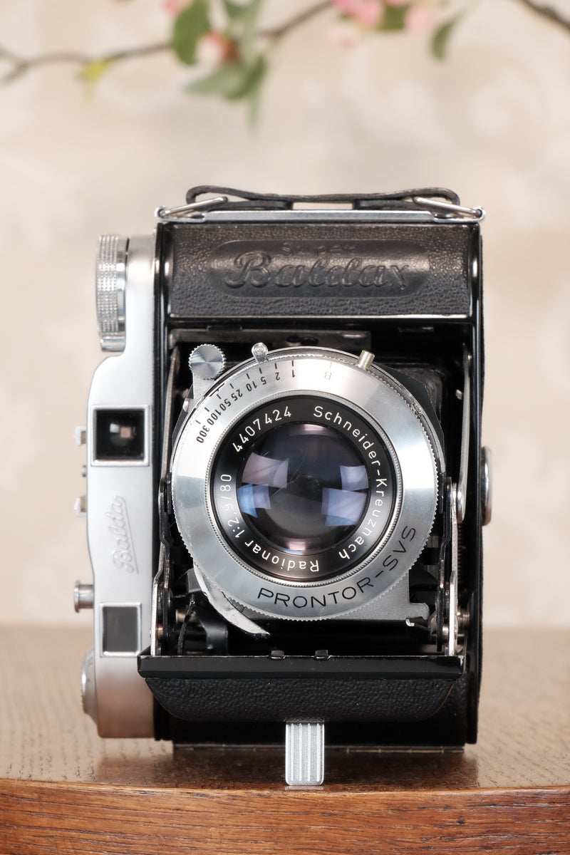 Near Mint! Balda Super Baldax, 6x6 Coupled Rangefinder Camera, CLA'd, Freshly Serviced!