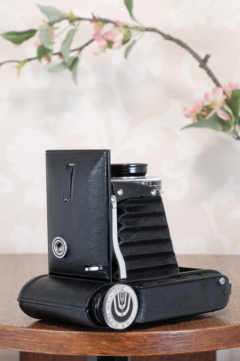 Excellent 1939 Voigtlander Bessa Rangefinder with HELIAR LENS! 6x9, Freshly Serviced, CLA'd.