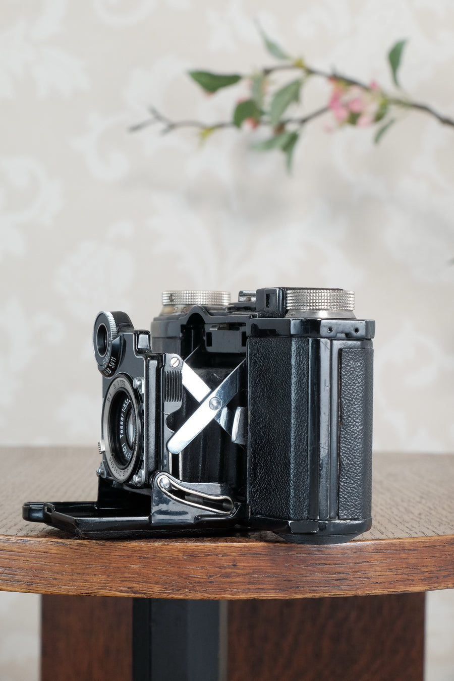 Superb! 1934 Zeiss-Ikon Super Nettel (236/24) , CLA'd, Freshly Serviced!