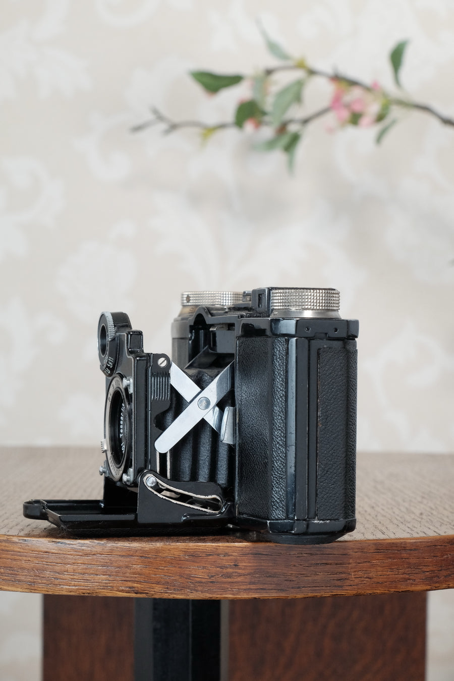 Superb! 1934 Zeiss-Ikon Super Nettel (236/24) , CLA'd, Freshly Serviced!