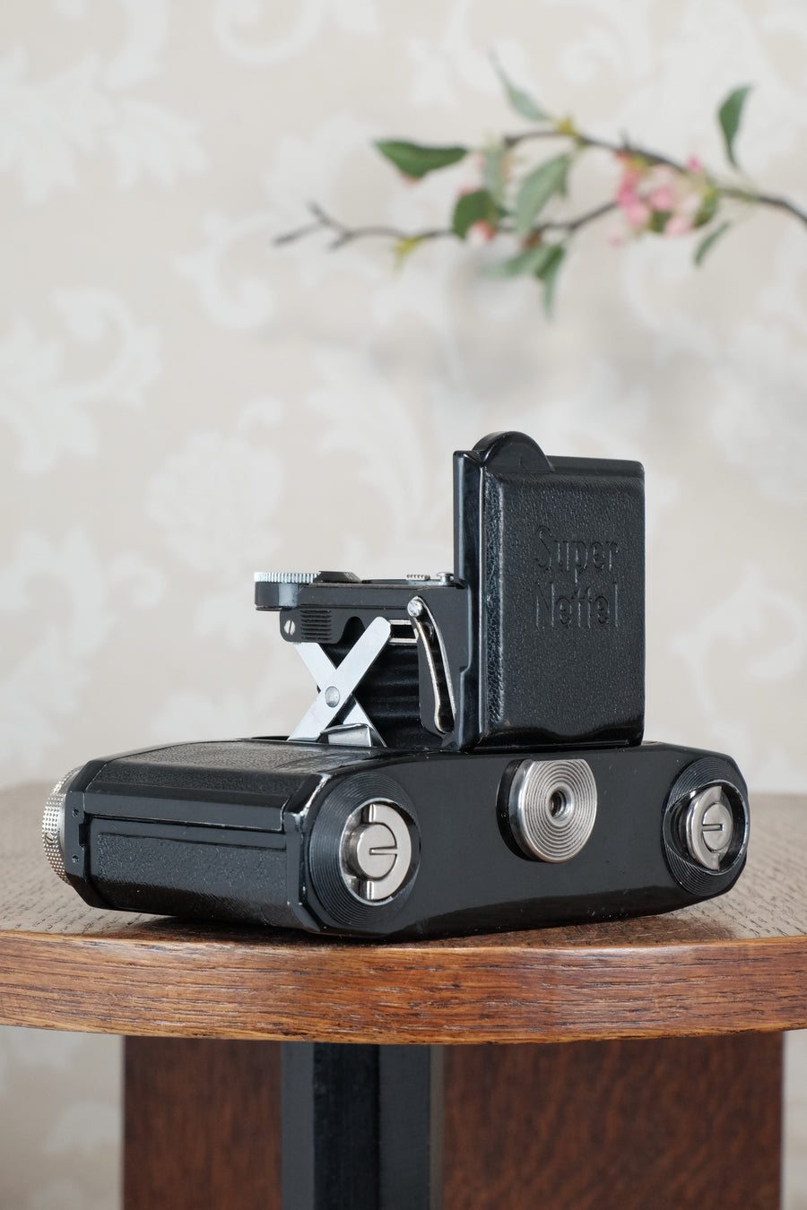 Superb! 1934 Zeiss-Ikon Super Nettel (236/24) , CLA'd, Freshly Serviced!