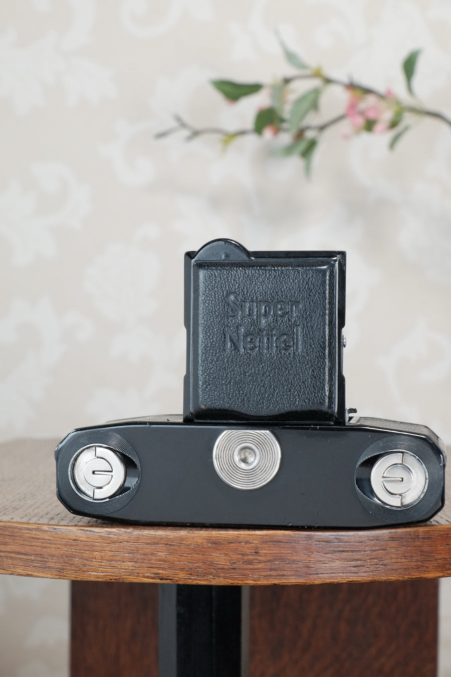 Superb! 1934 Zeiss-Ikon Super Nettel (236/24) , CLA'd, Freshly Serviced!
