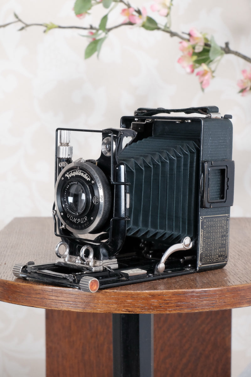1934 Green Voigtlander Bergheil Camera with Heliar lens and roll film back! Freshly serviced, CLA'd! - Voigtlander- Petrakla Classic Cameras