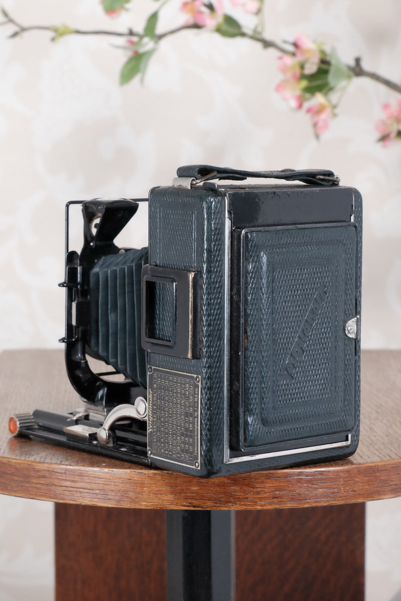 1934 Green Voigtlander Bergheil Camera with Heliar lens and roll film back! Freshly serviced, CLA'd! - Voigtlander- Petrakla Classic Cameras