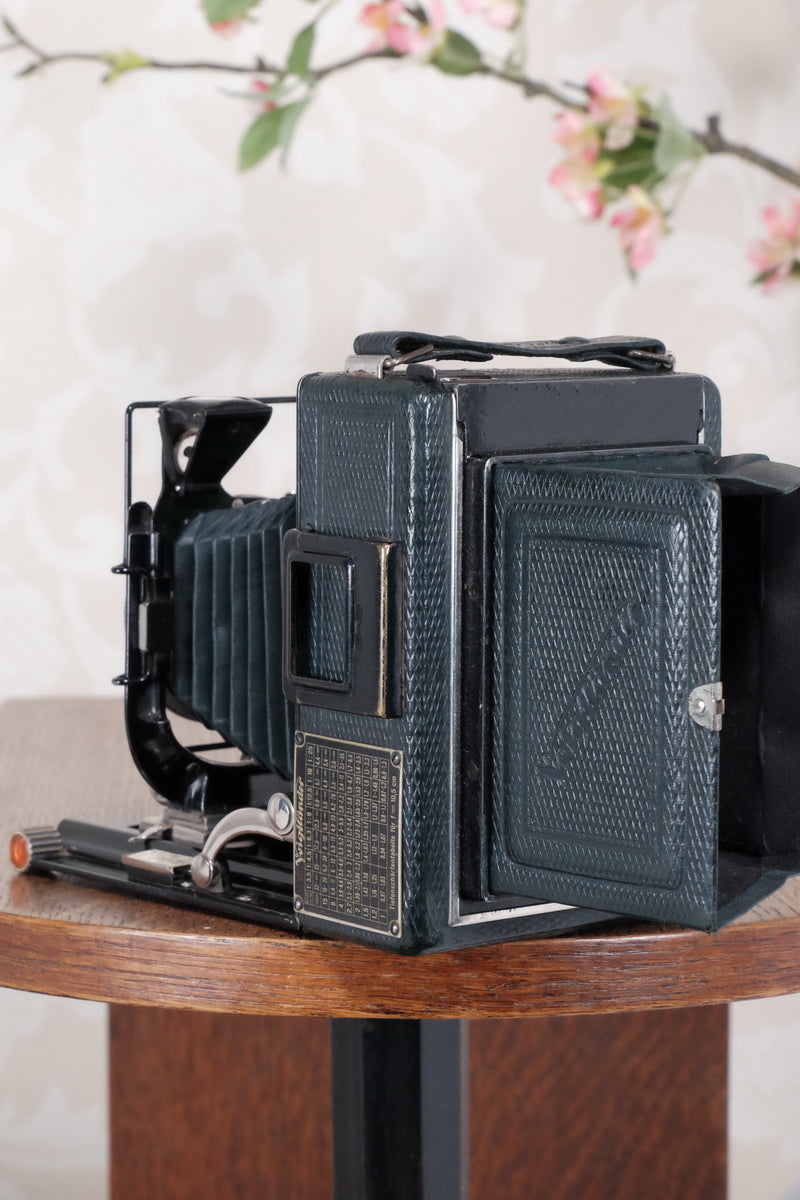 1934 Green Voigtlander Bergheil Camera with Heliar lens and roll film back! Freshly serviced, CLA'd! - Voigtlander- Petrakla Classic Cameras
