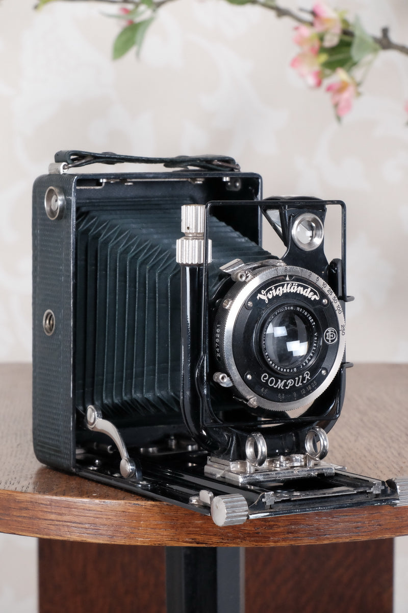 1934 Green Voigtlander Bergheil Camera with Heliar lens and roll film back! Freshly serviced, CLA'd! - Voigtlander- Petrakla Classic Cameras