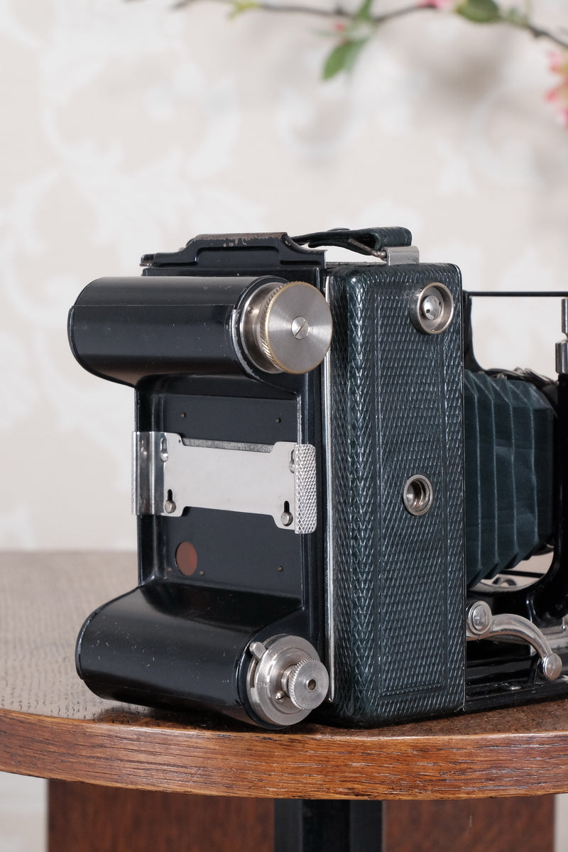 1934 Green Voigtlander Bergheil Camera with Heliar lens and roll film back! Freshly serviced, CLA'd! - Voigtlander- Petrakla Classic Cameras