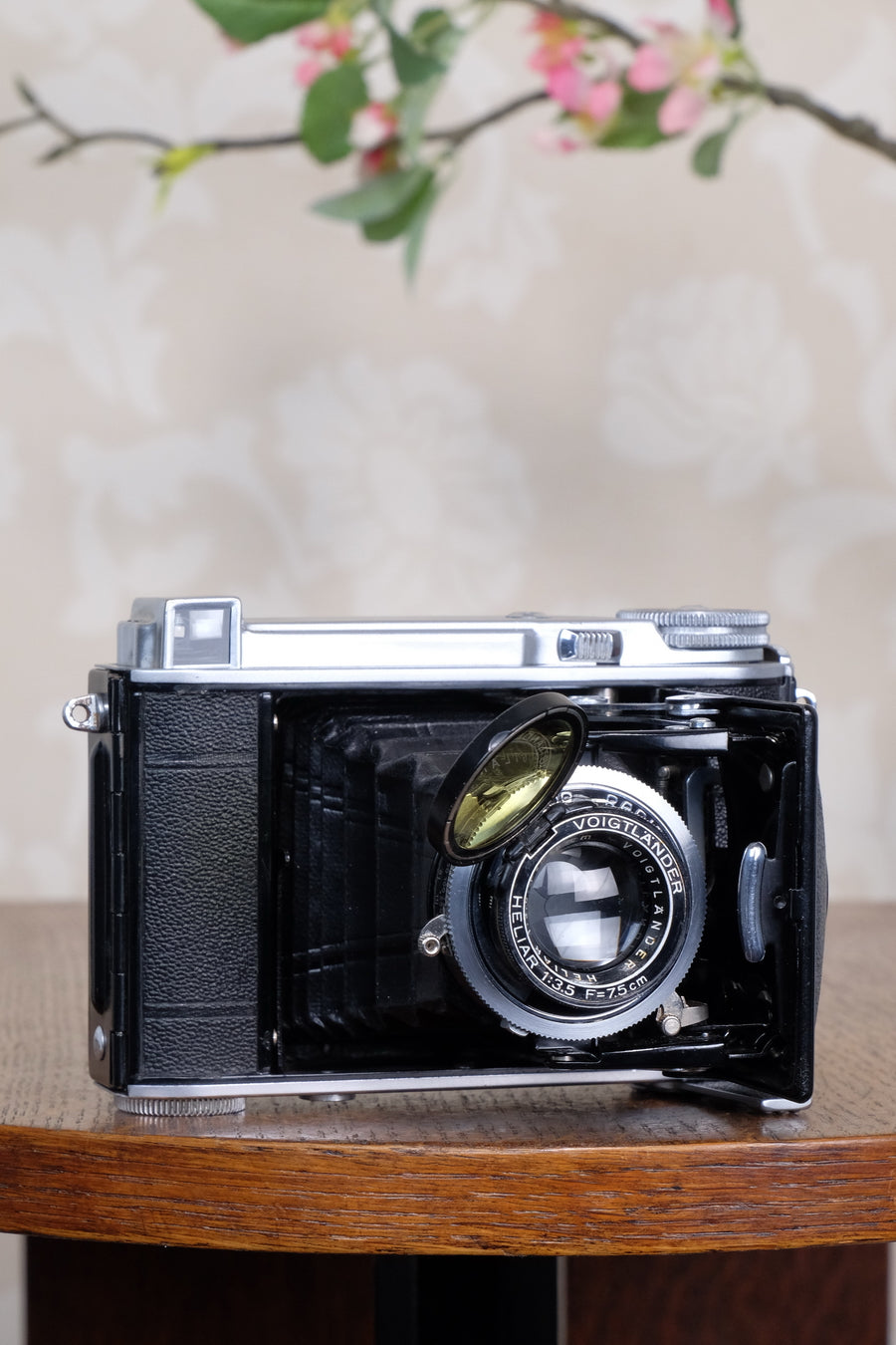 Rare! 1939 Voigtlander “Klein Bessa” 66 with Heliar lens! CLA'd, Freshly Serviced!