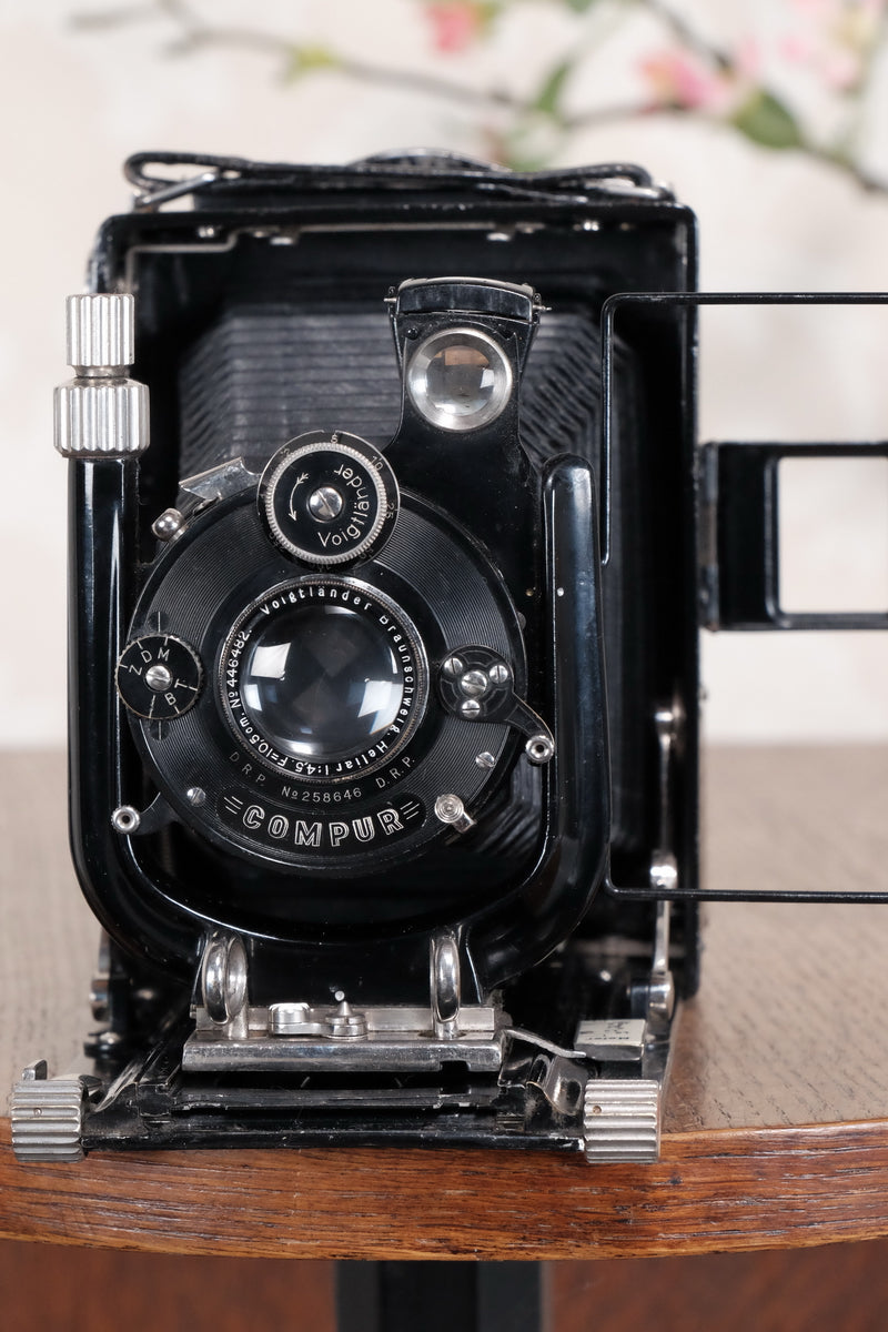 1929 Voigtlander Bergheil Camera with Heliar lens and Roll film back! Freshly serviced CLA’d Freshly serviced, CLA'd! - Voigtlander- Petrakla Classic Cameras