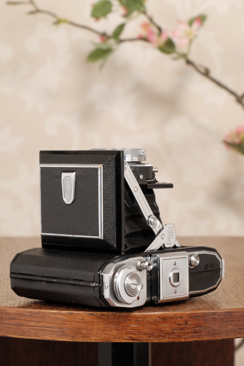1947 Zeiss Ikon Ikonta, Freshly Serviced, CLA'd! - Zeiss-Ikon- Petrakla Classic Cameras