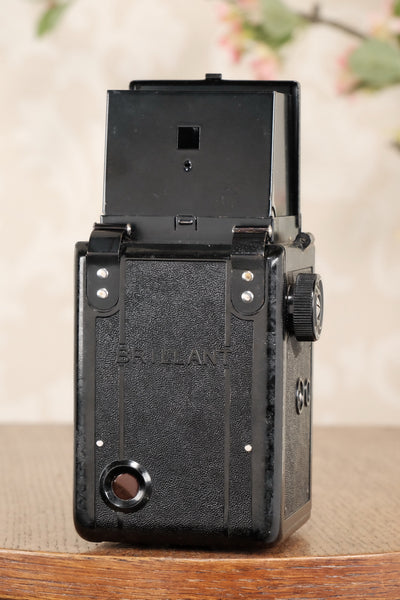 1938 Voigtlander Brillant 6x6 TLR, CLA'd, Freshly Serviced! - Voigtlander- Petrakla Classic Cameras