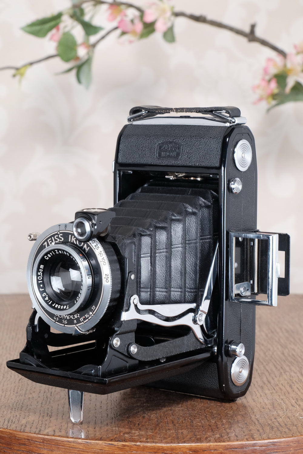 Mint! 1937 Zeiss Ikon 6x9 Nettar with Tessar Lens Freshly