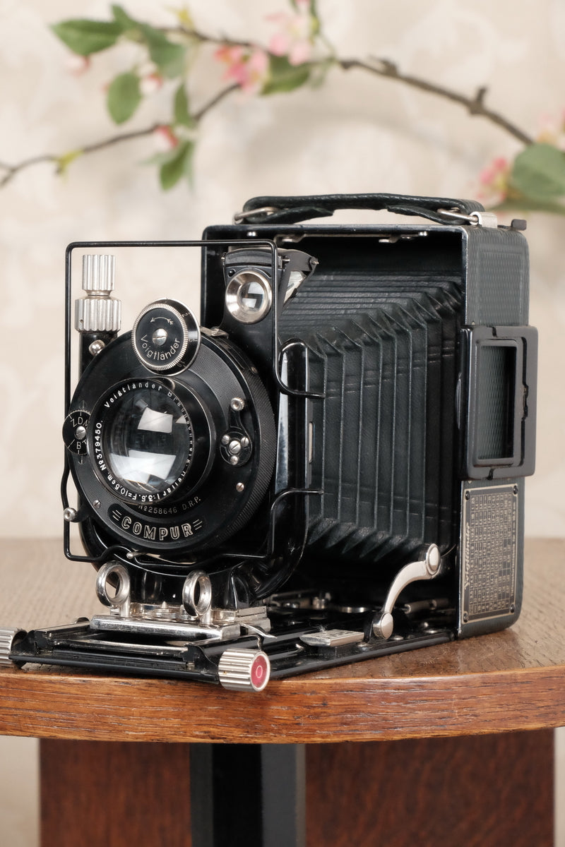 Absolutely Superb! Rare Green (De Luxe) Voigtlander 1932 Bergheil Camera with Heliar lens, Freshly serviced, CLA'd! - Voigtlander- Petrakla Classic Cameras
