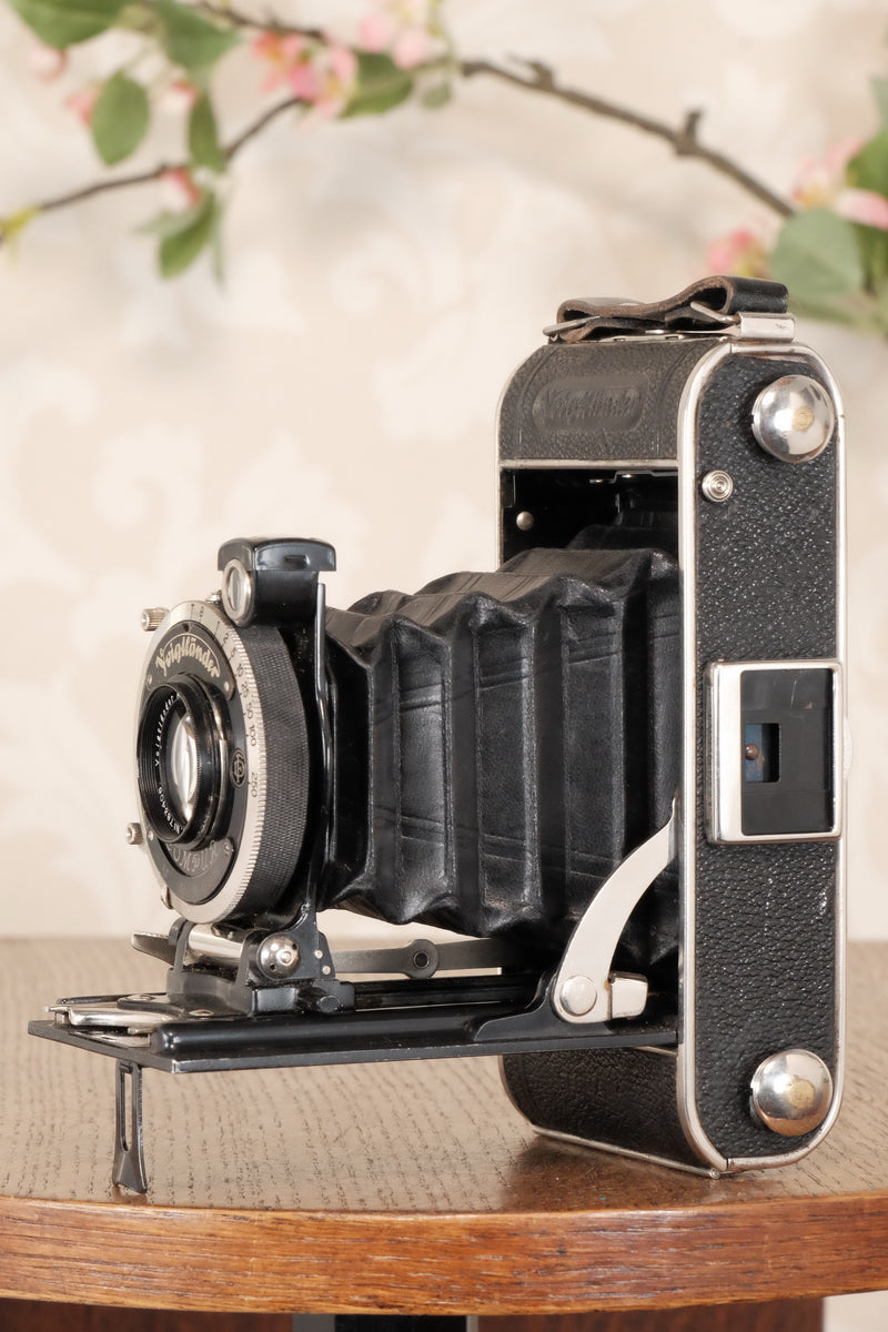 1934 Voigtlander Inos II 6x9 Folder, CLA’d, Freshly Serviced! - Voigtlander- Petrakla Classic Cameras
