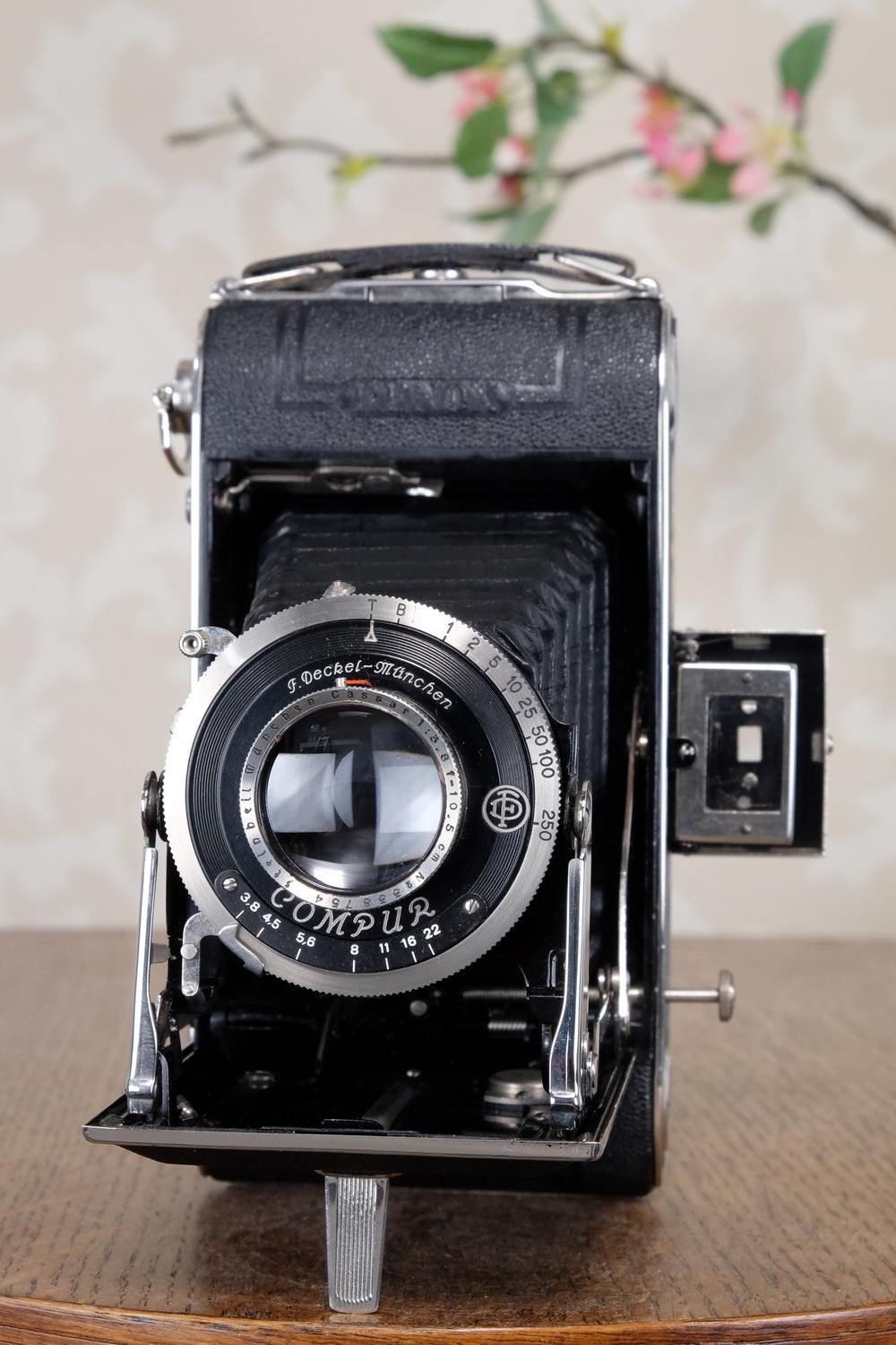 Near Mint! 1937 6x9 Herlango Renox . CLA'd, Freshly Serviced!