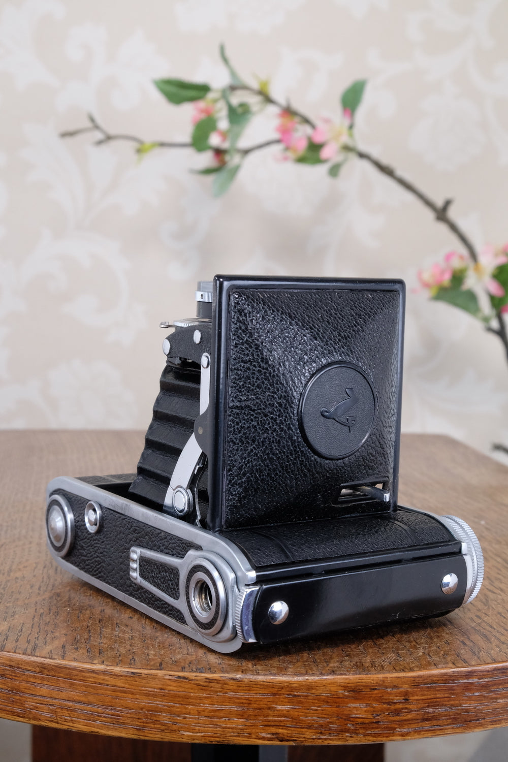 Superb! 1945 Voigtlander “Klein Bessa” 66. CLA'd, Freshly Serviced!