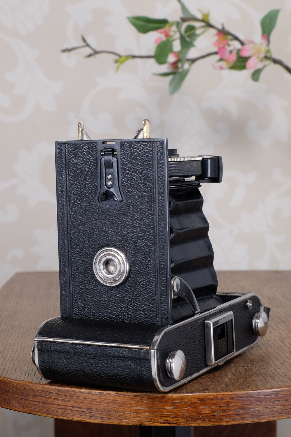 Superb! 1934 Voigtlander Inos II 6x9 Folder, CLA’d, Freshly Serviced!