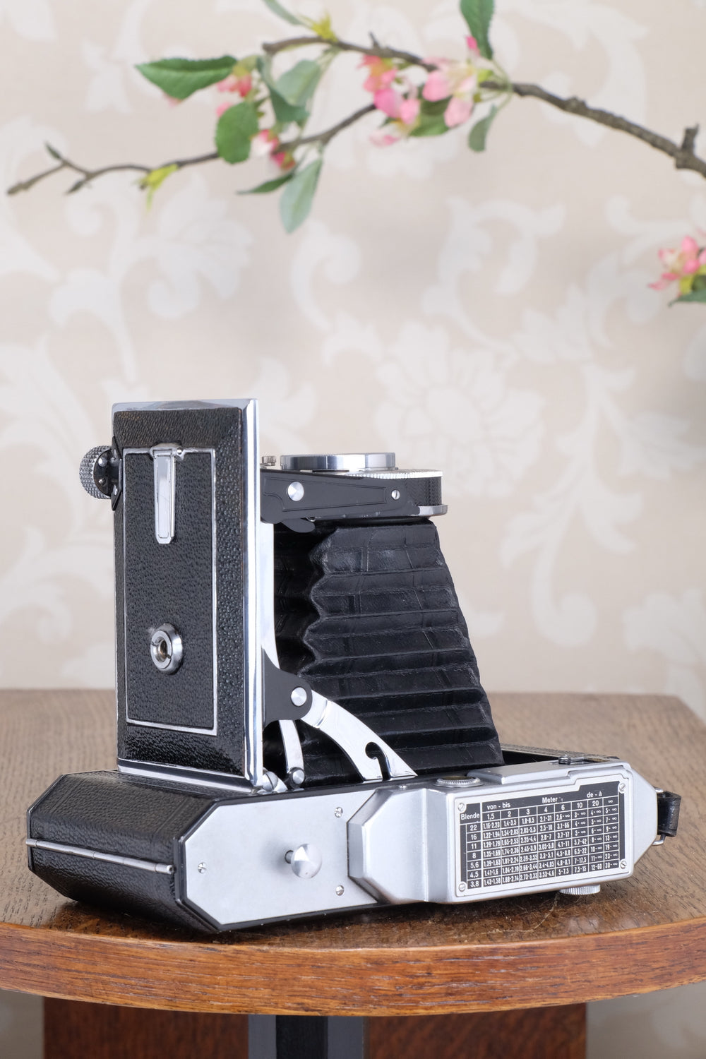 Rare! Near Mint 1937 WELTA WELTUR 6x9 Coupled Rangefinder Camera, CLA'd, Freshly serviced!