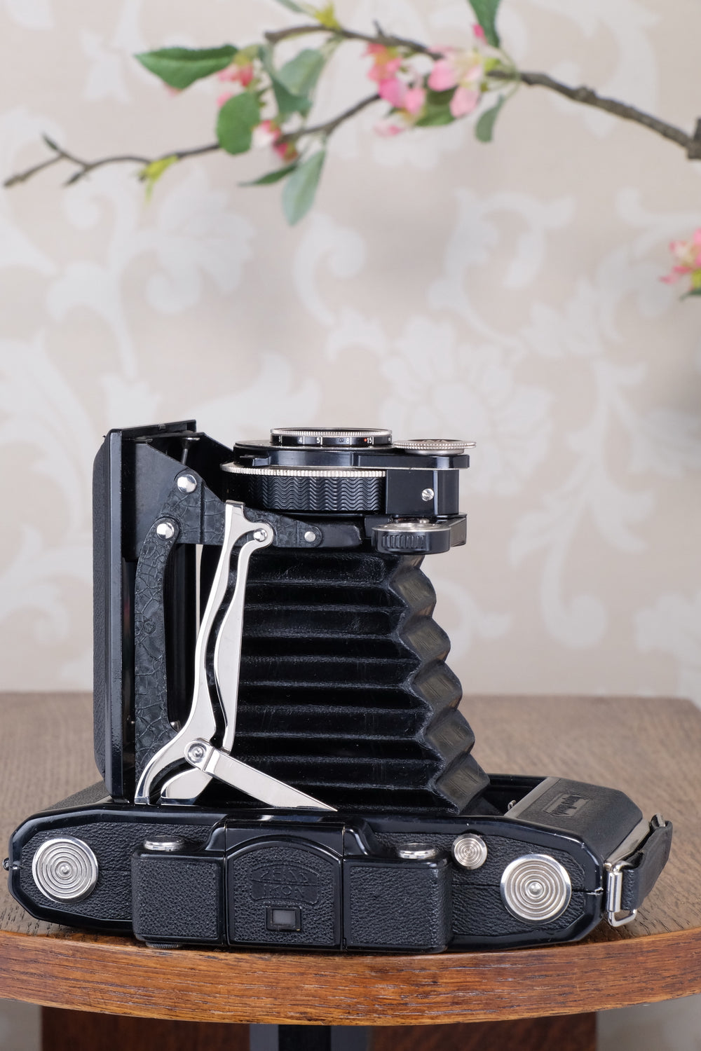 Near Mint 1933 Zeiss Ikon 6x9 Super Ikonta C, CLA’d, Freshly Serviced!