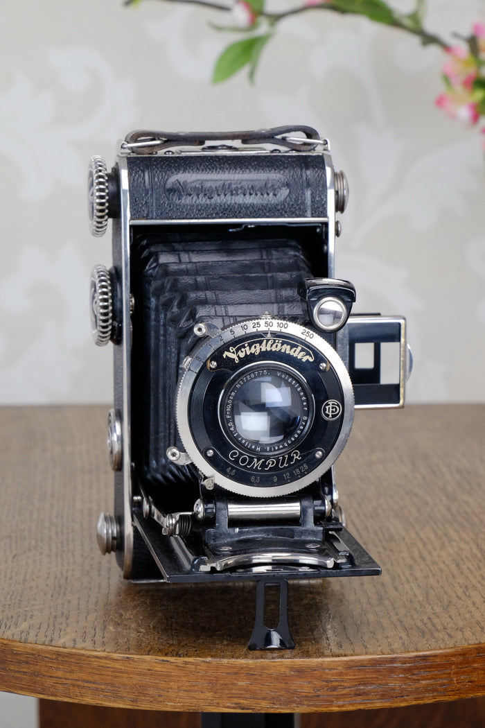 1934 Voigtlander Inos II 6x9 Folder, with Heliar lens! CLA'd