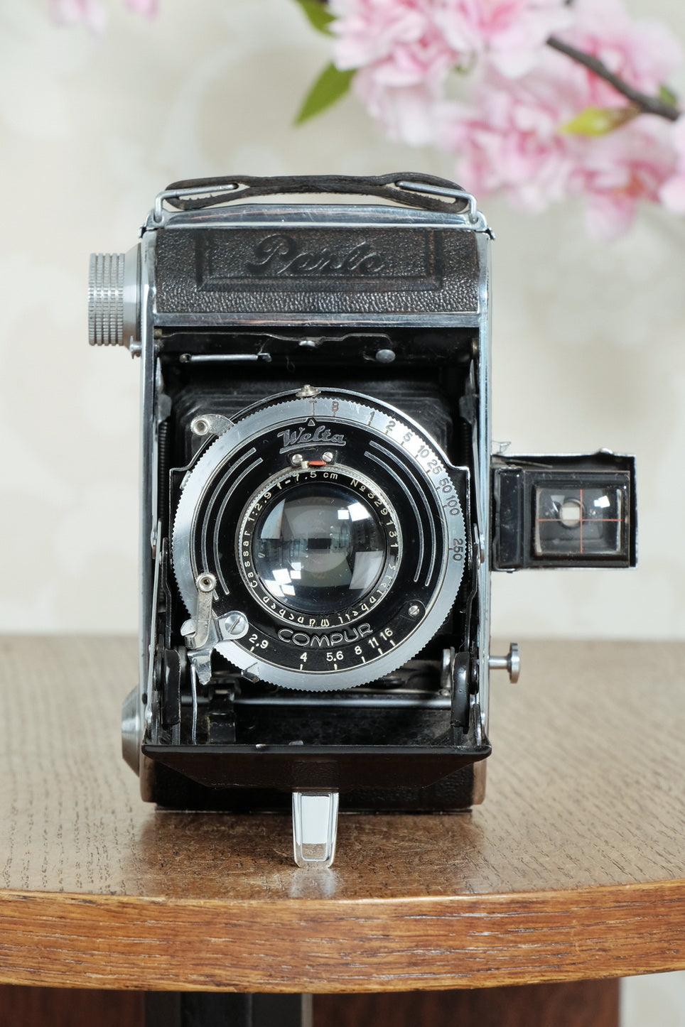 Superb! 1936 6x4.5 Welta Perle, Freshly Serviced, CLA'd!