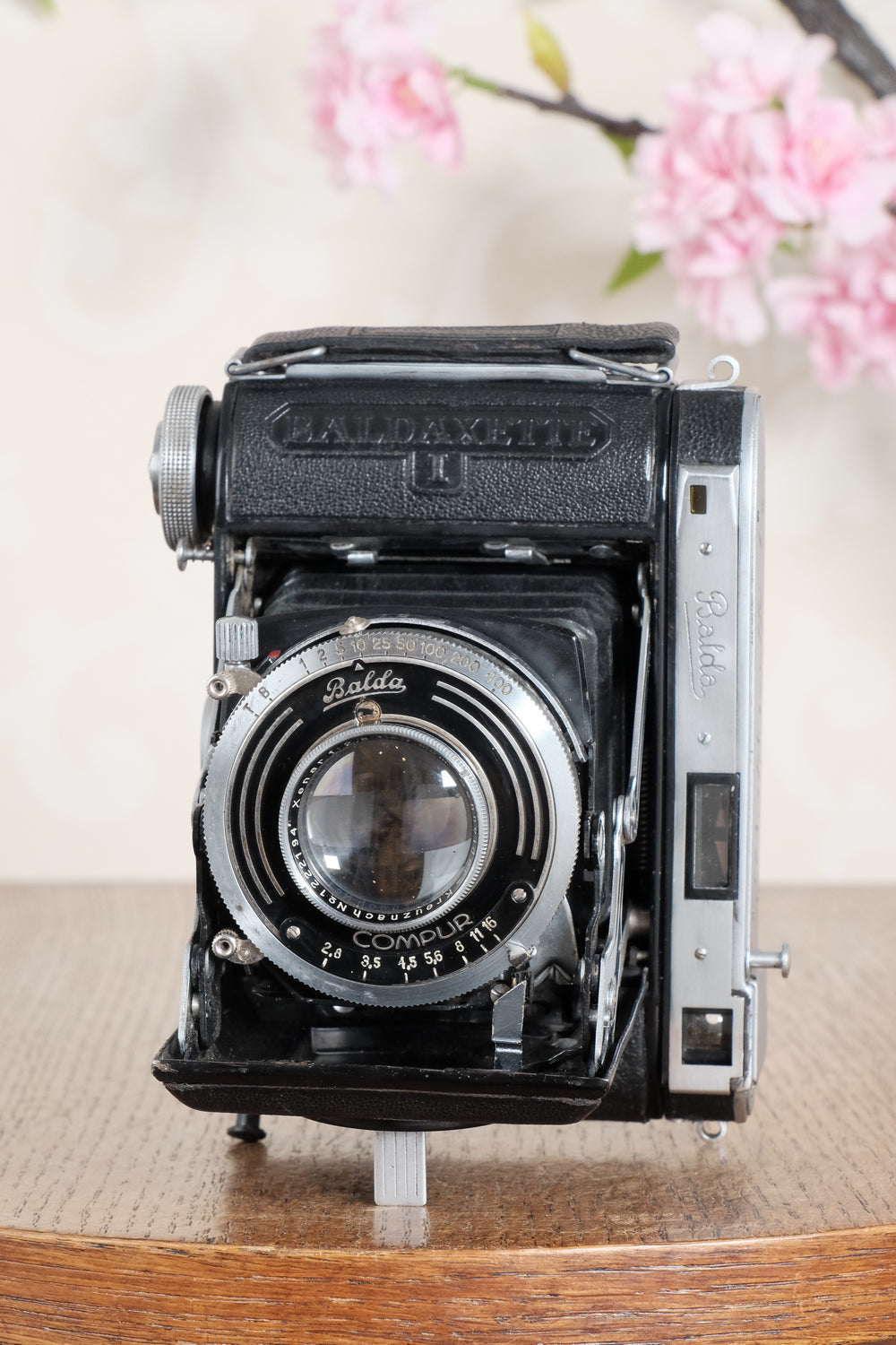 Rare! 1937 Balda Baldaxette, 6x4.5 Coupled Rangefinder camera. Freshly Serviced!, CLA'd
