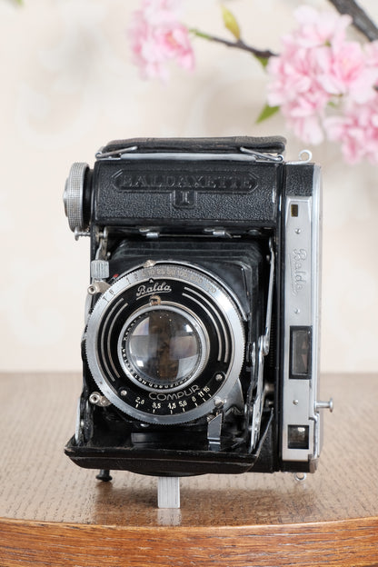 Rare! 1937 Balda Baldaxette, 6x4.5 Coupled Rangefinder camera. Freshly Serviced!, CLA'd