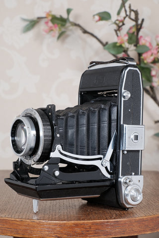 1938 6x9 Zeiss Ikon Ikonta, CLA'd, Freshly Serviced!