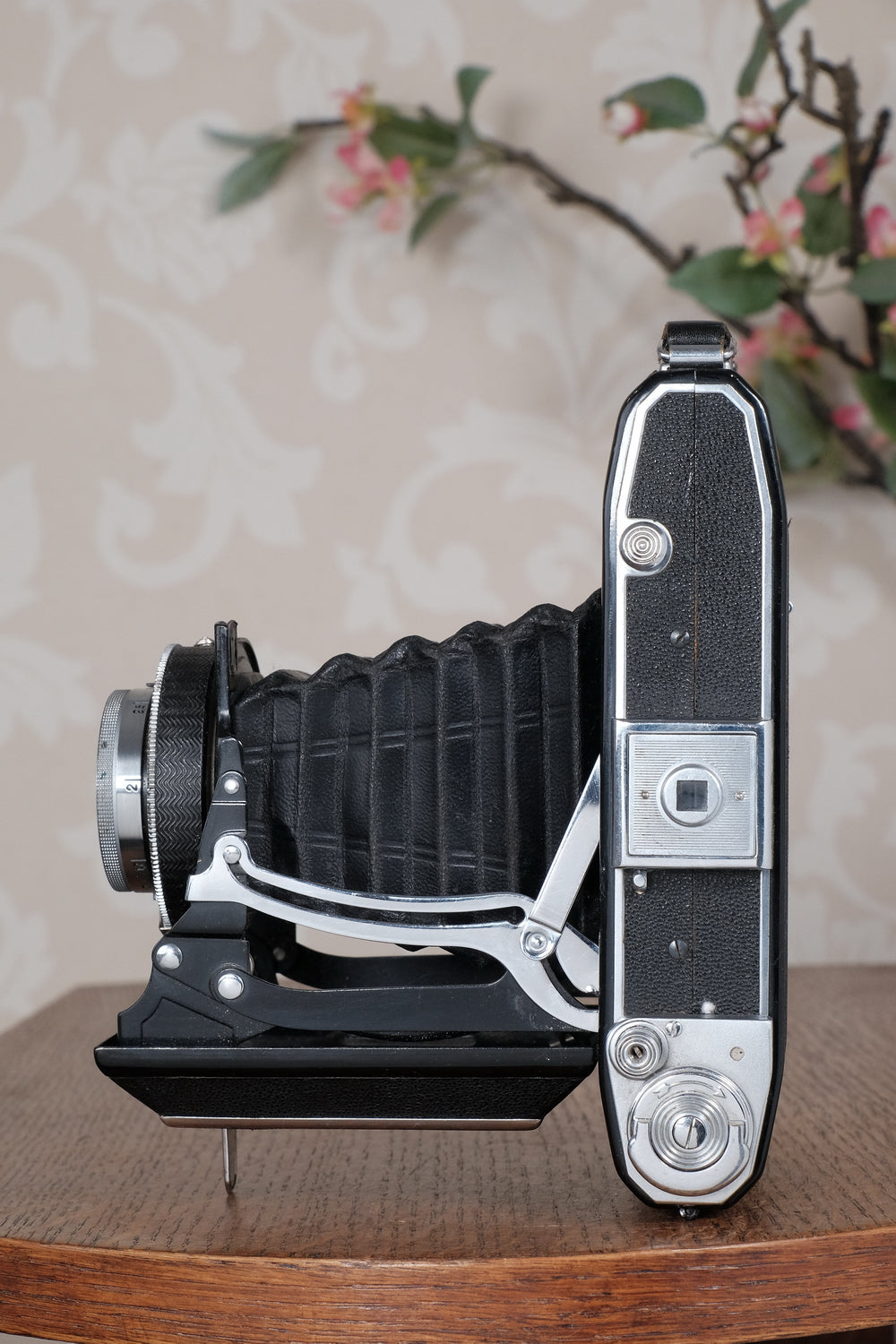 1938 6x9 Zeiss Ikon Ikonta, CLA'd, Freshly Serviced!