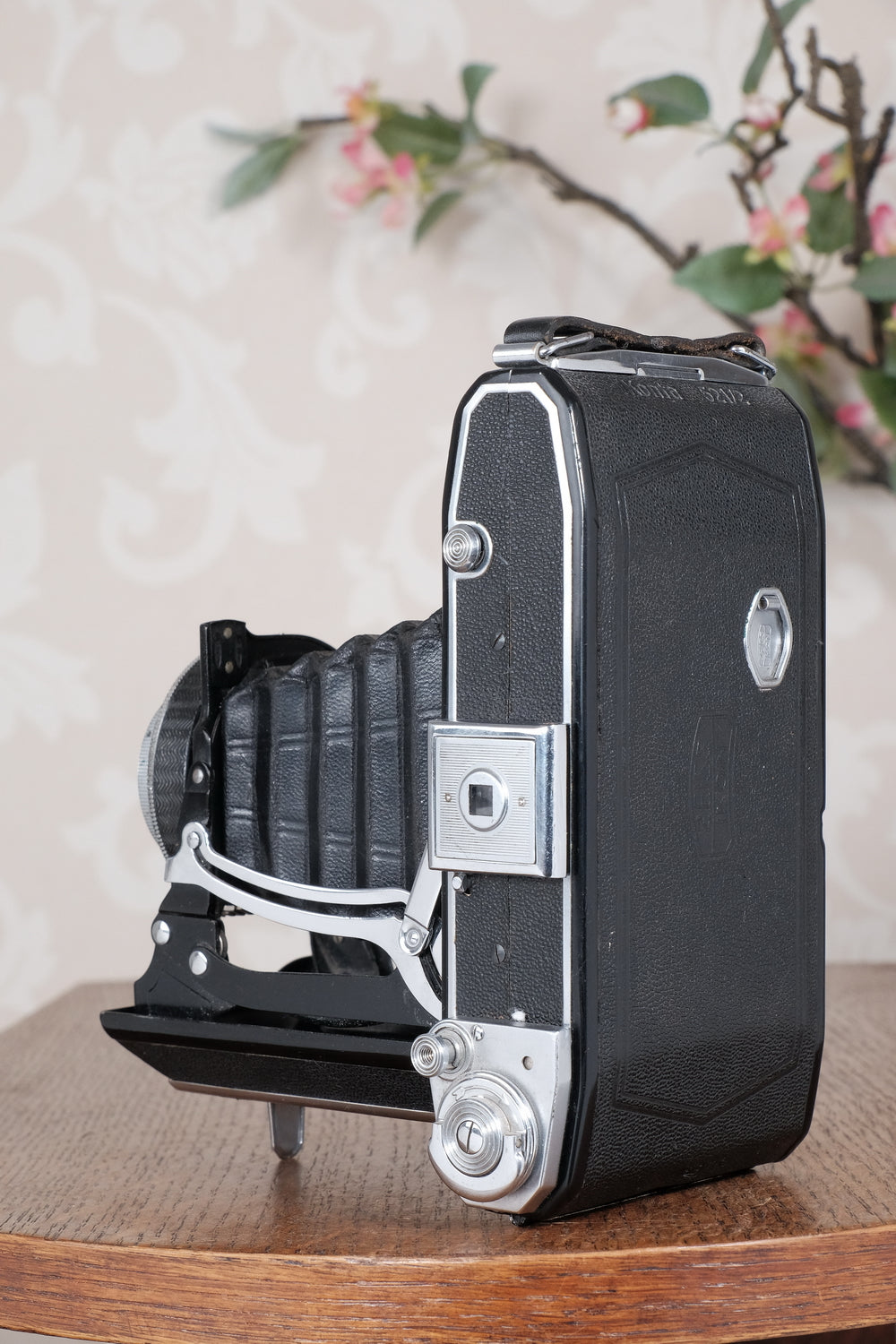 1938 6x9 Zeiss Ikon Ikonta, CLA'd, Freshly Serviced!