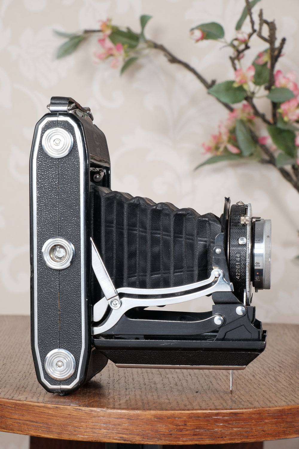 1938 6x9 Zeiss Ikon Ikonta, CLA'd, Freshly Serviced!