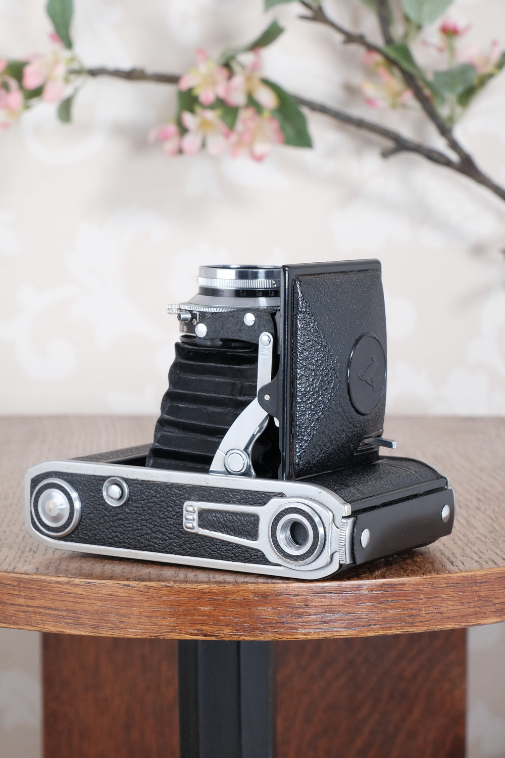 NEAR MINT! 1947 Voigtlander Bessa 66, Medium Format Folder with Color-Skopar lens. CLA'd, Freshly Serviced!