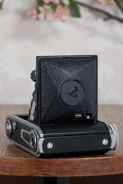 NEAR MINT! 1947 Voigtlander Bessa 66, Medium Format Folder with Color-Skopar lens. CLA'd, Freshly Serviced!