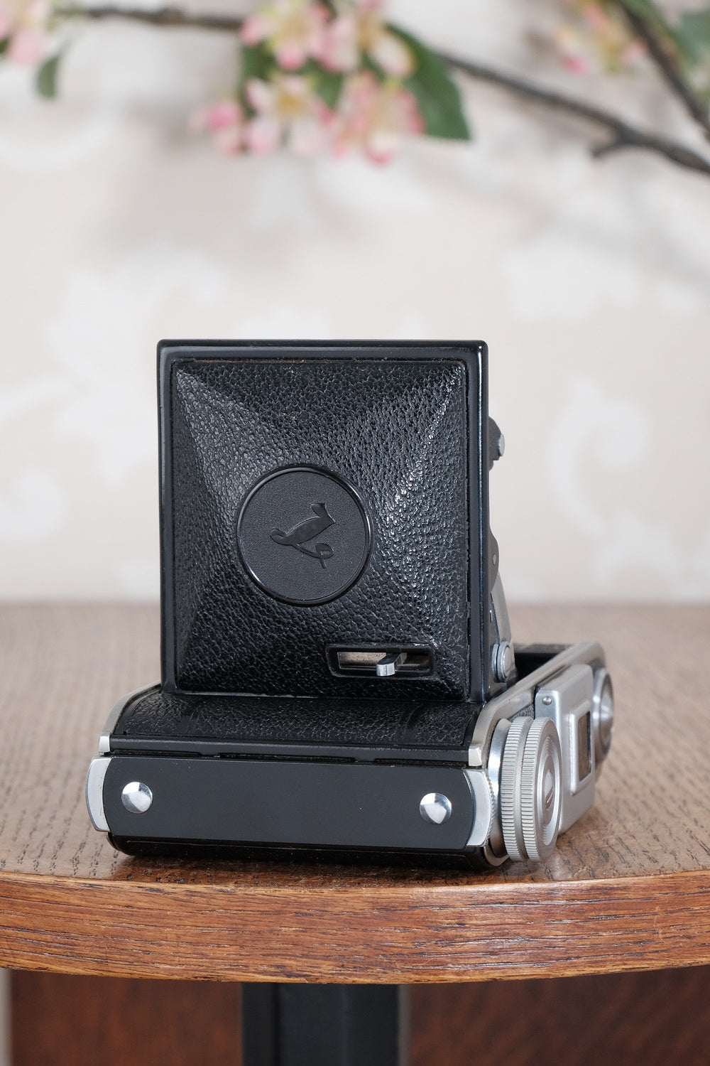NEAR MINT! 1947 Voigtlander Bessa 66, Medium Format Folder with Color-Skopar lens. CLA'd, Freshly Serviced!