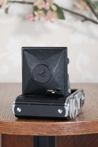 NEAR MINT! 1947 Voigtlander Bessa 66, Medium Format Folder with Color-Skopar lens. CLA'd, Freshly Serviced!