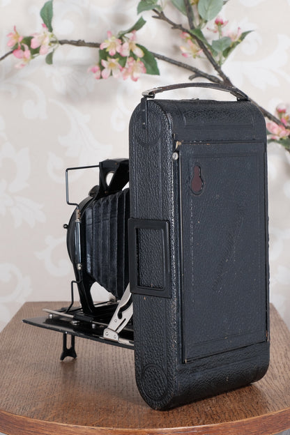 Giant! 1932 Voigtlander 8.5x14 Folding camera with 150mm Skopar lens. Freshly Serviced, CLA'd.
